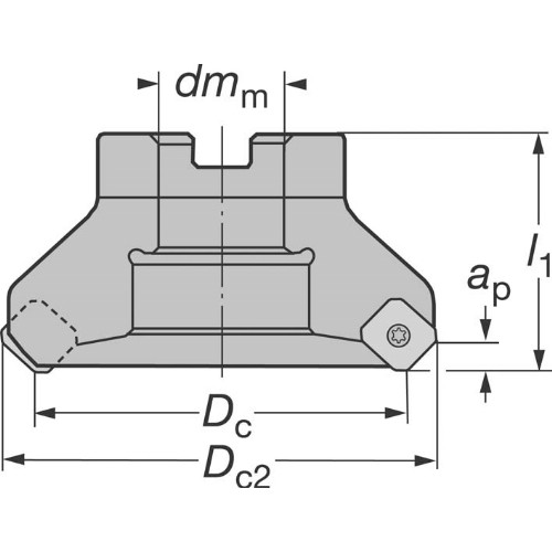 Planfräs SANDVIK CoroMill 245 Dornmont